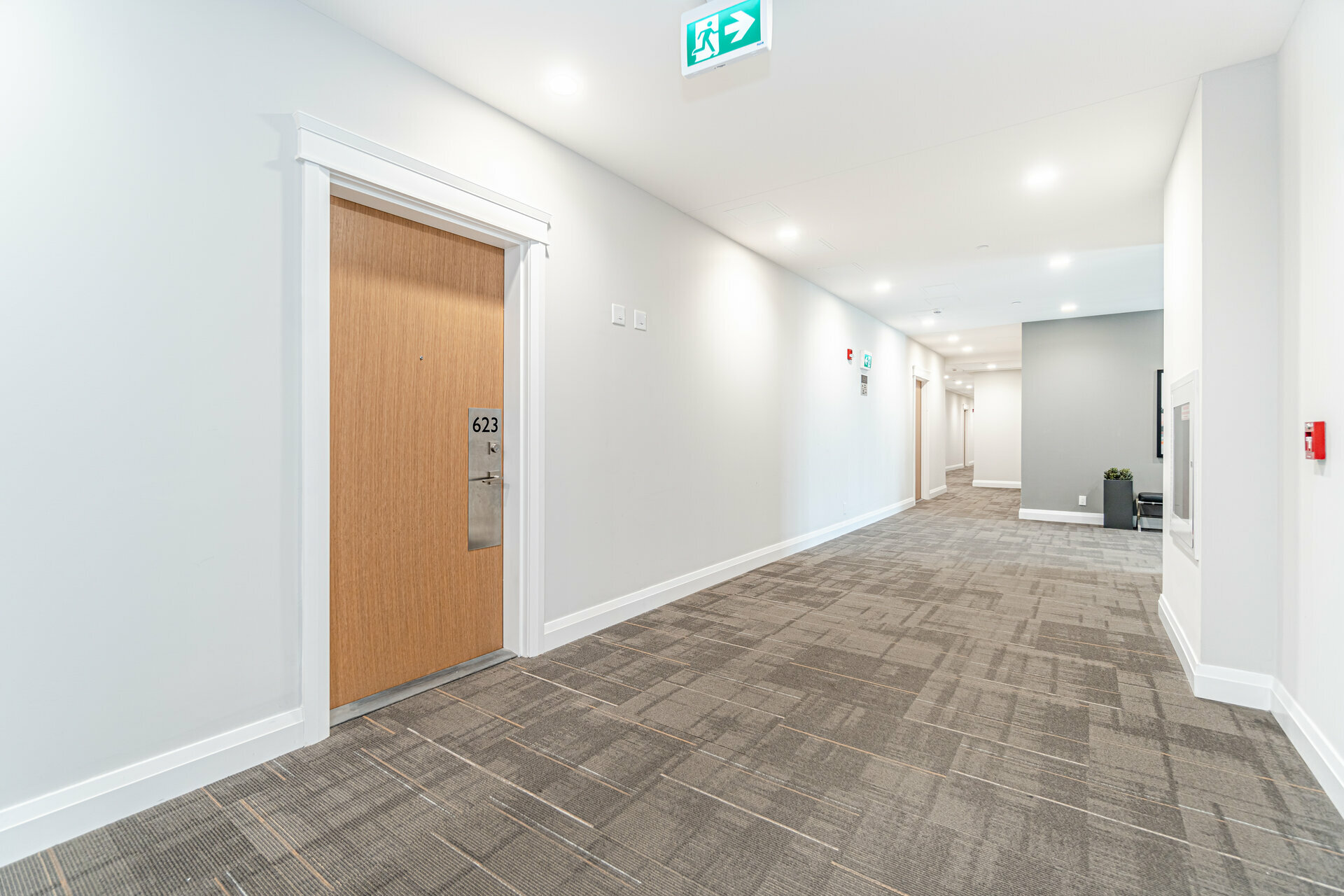 623128 Grovewood Common by Mariam Wassef