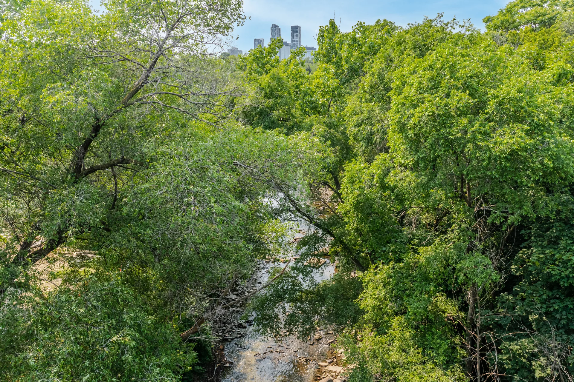 2729958