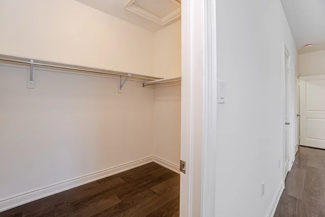 36 Sealey Avenue, Hamilton - photo 50
