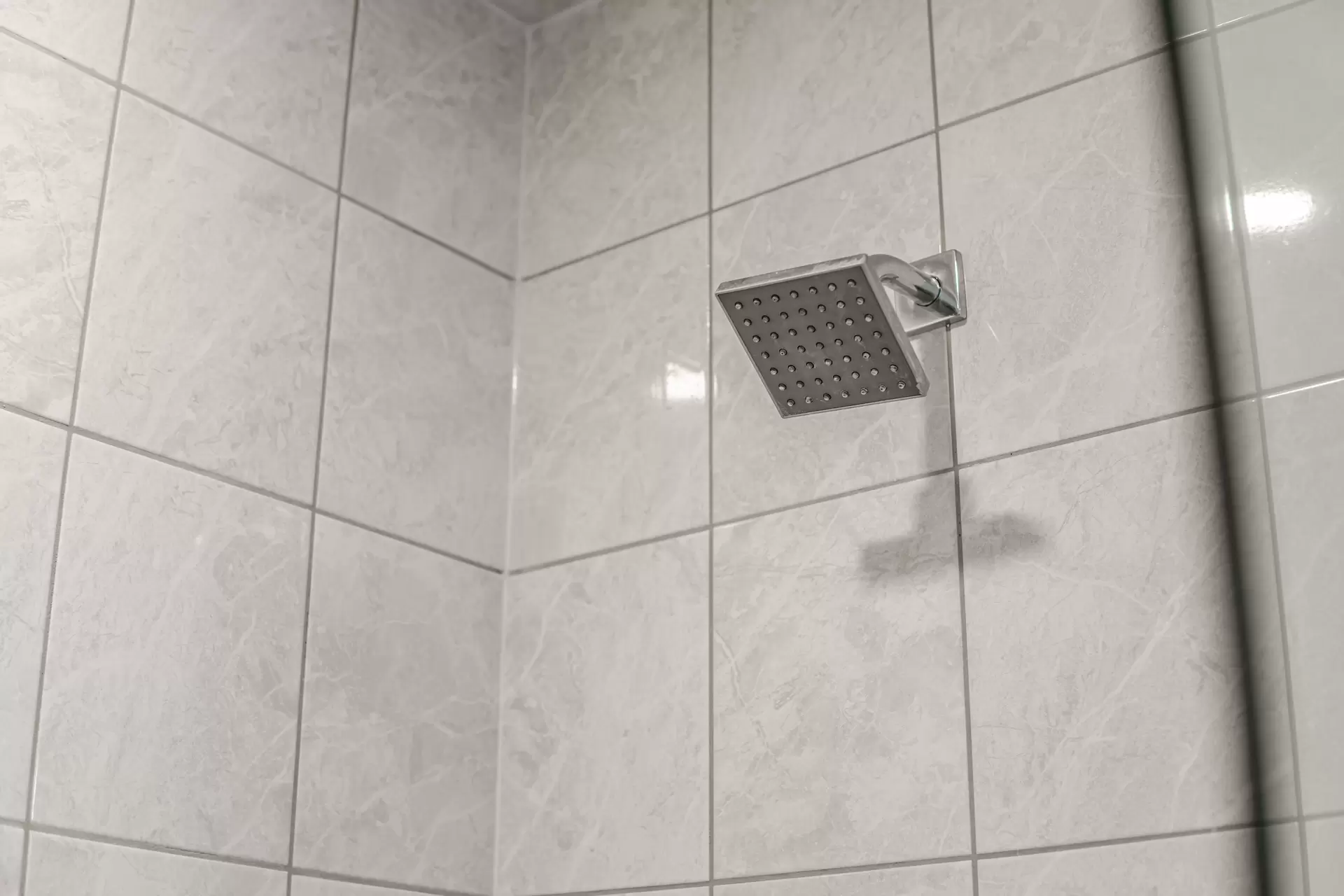 2855491