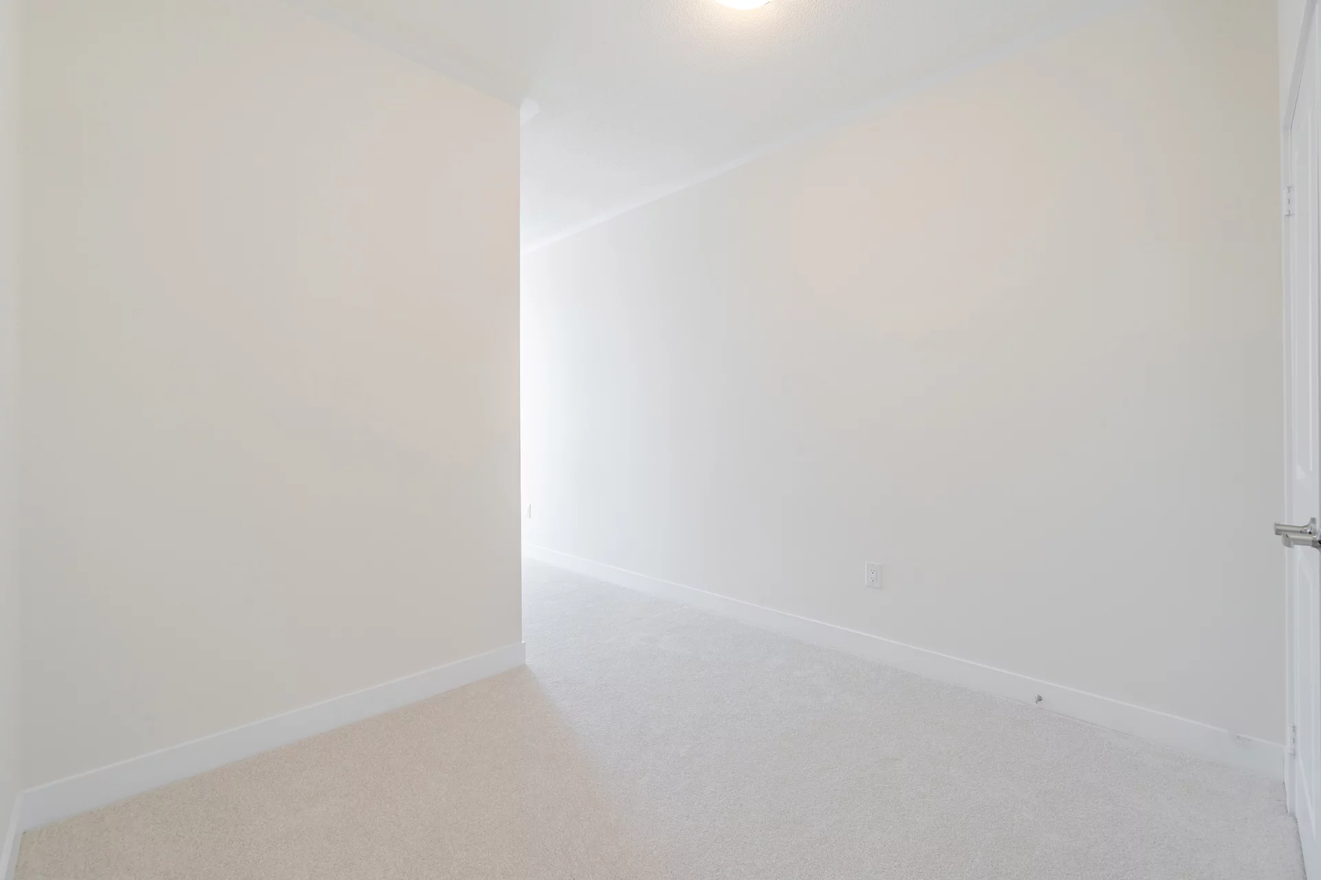 2907251