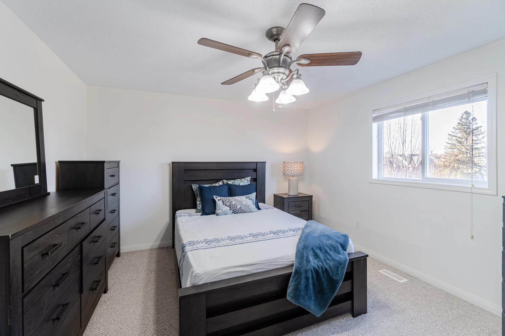 51 Palomino Trail, Georgetown - photo 23