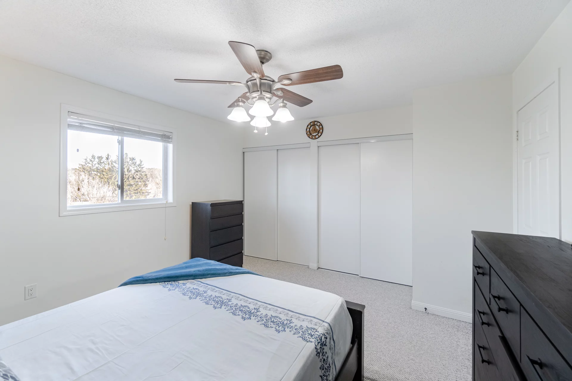 51 Palomino Trail, Georgetown - photo 24