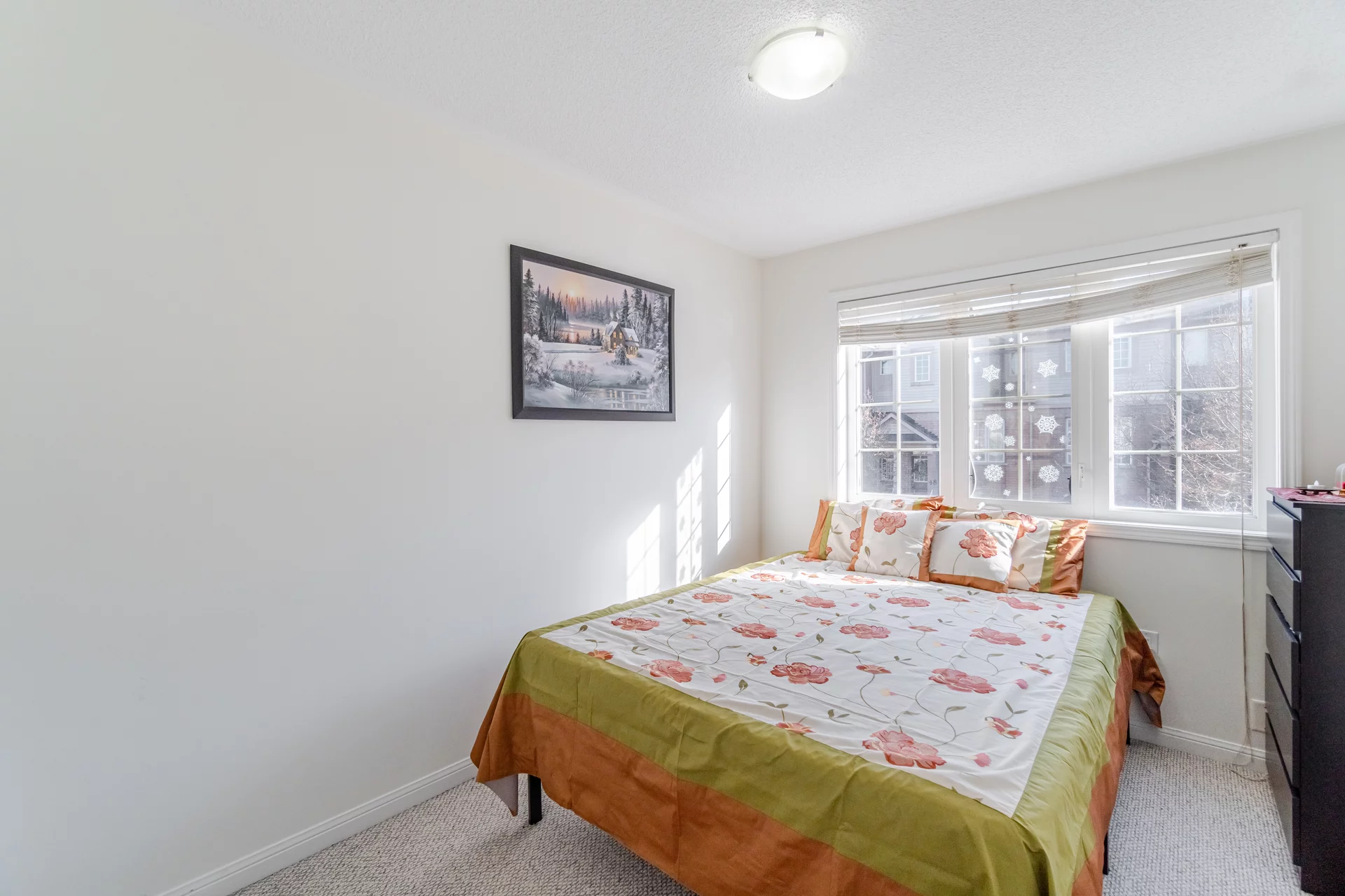 51 Palomino Trail, Georgetown - photo 26