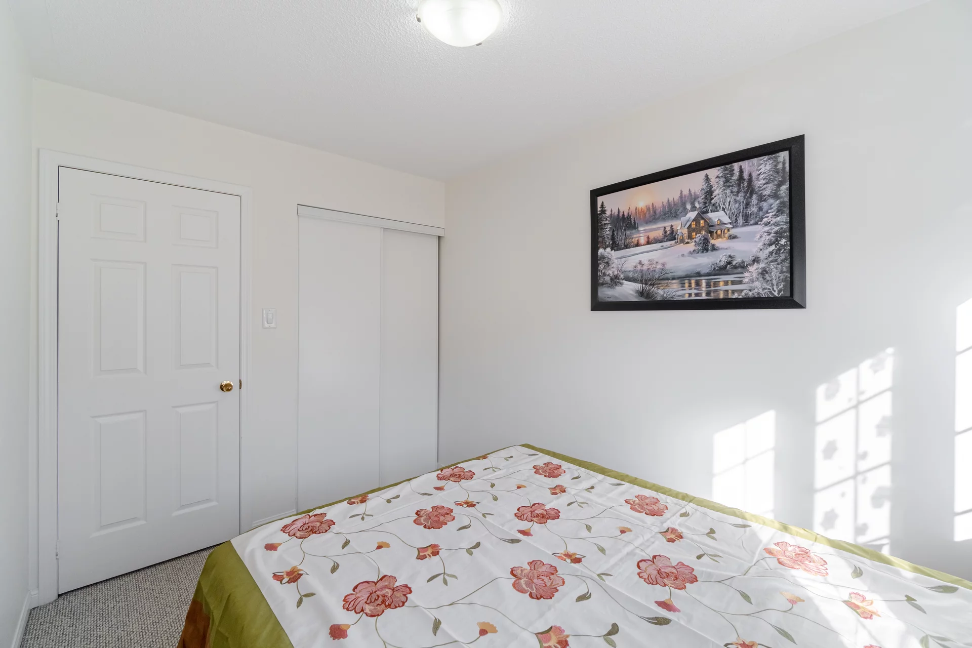 51 Palomino Trail, Georgetown - photo 27
