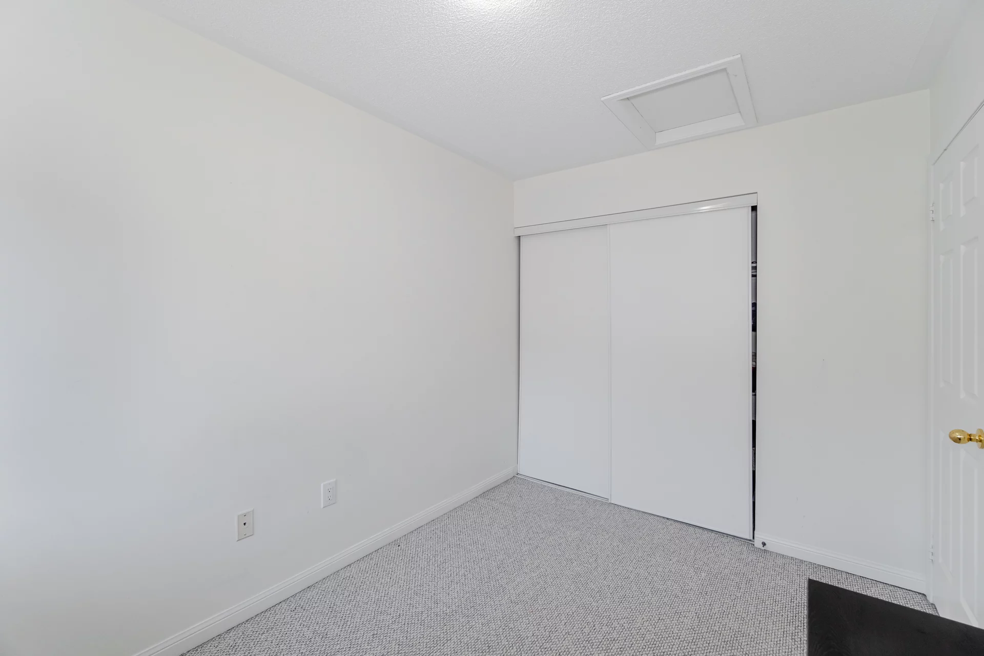 51 Palomino Trail, Georgetown - photo 29