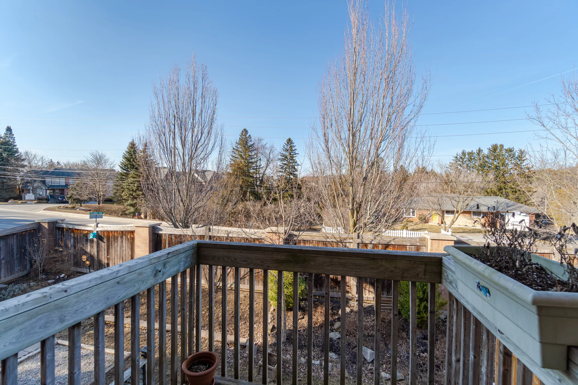51 Palomino Trail, Georgetown - photo 35