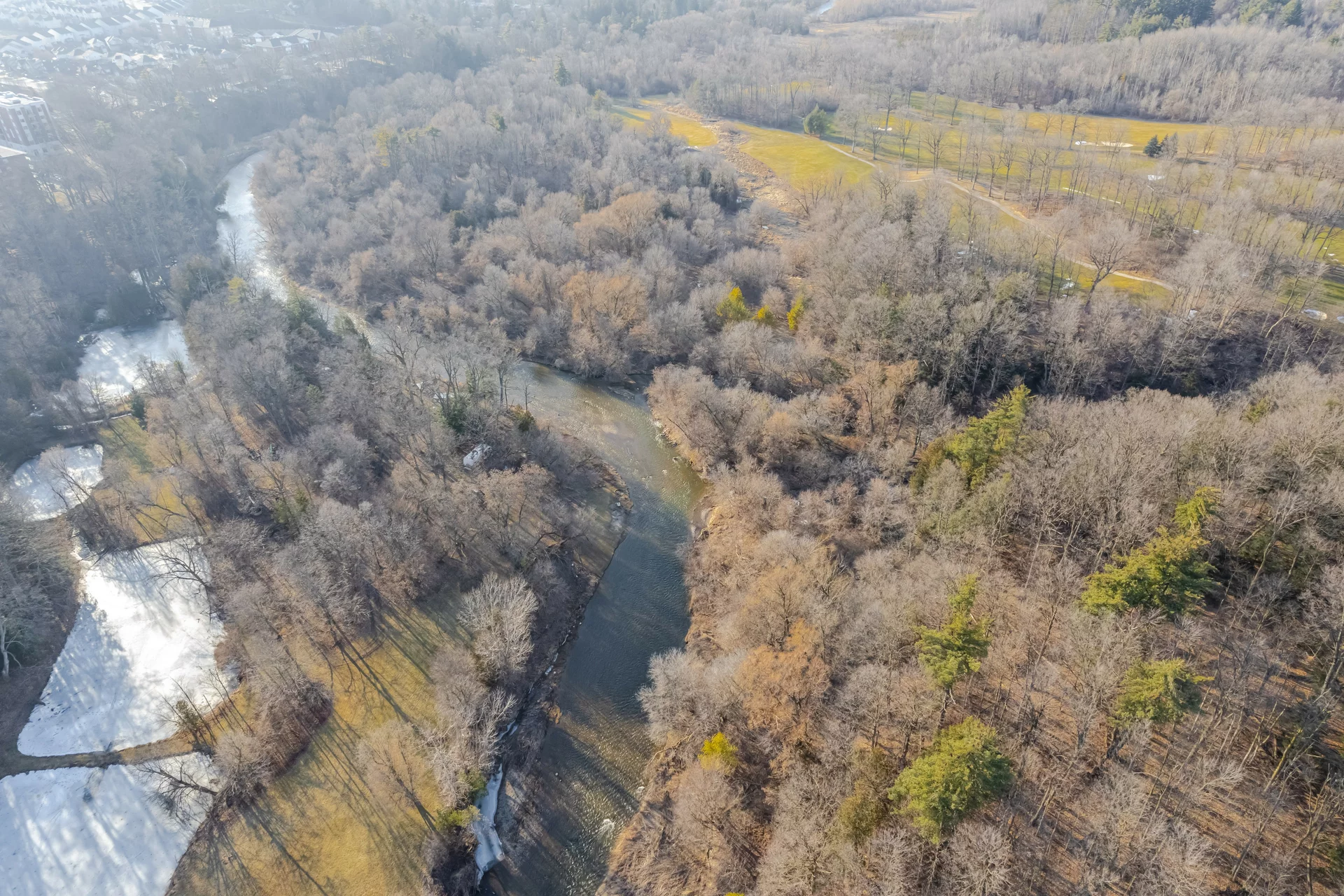 51 Palomino Trail, Georgetown - photo 43