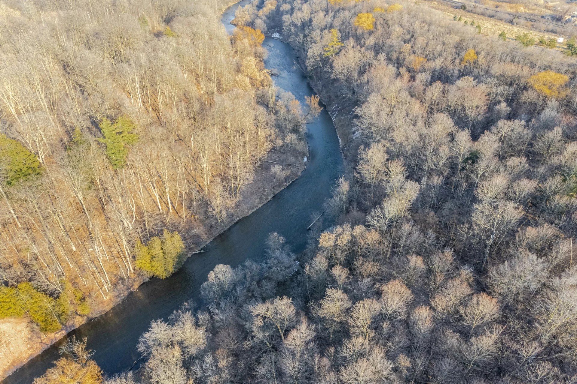 51 Palomino Trail, Georgetown - photo 46