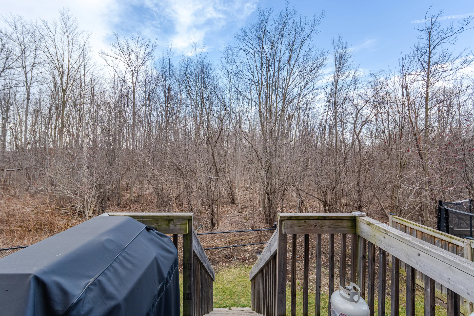 87 Haviland Circle, Brampton - photo 88