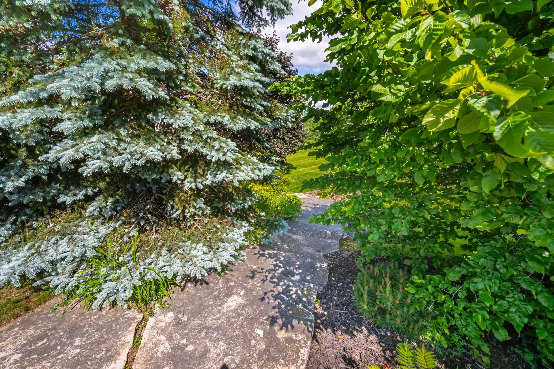 3014942