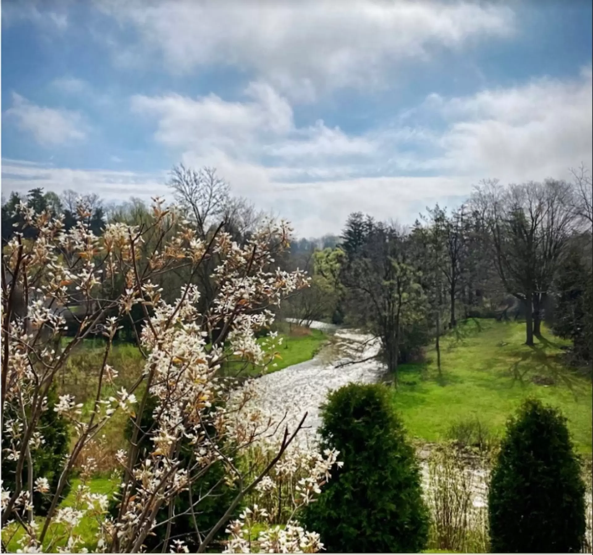#306-199 Pine Grove Road, Vaughan - photo 33