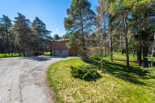 6901 Castlederg Side Road, Bolton - photo 12