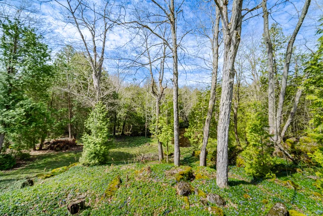 1311 Conservation Road, Campbellville - photo 68