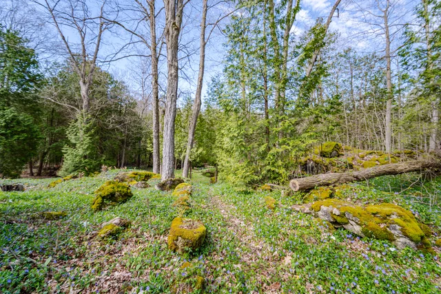 1311 Conservation Road, Campbellville - photo 72