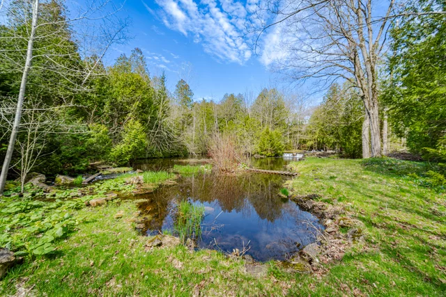 1311 Conservation Road, Campbellville - photo 73