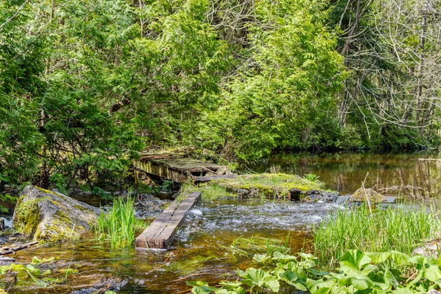 1311 Conservation Road, Campbellville - photo 74