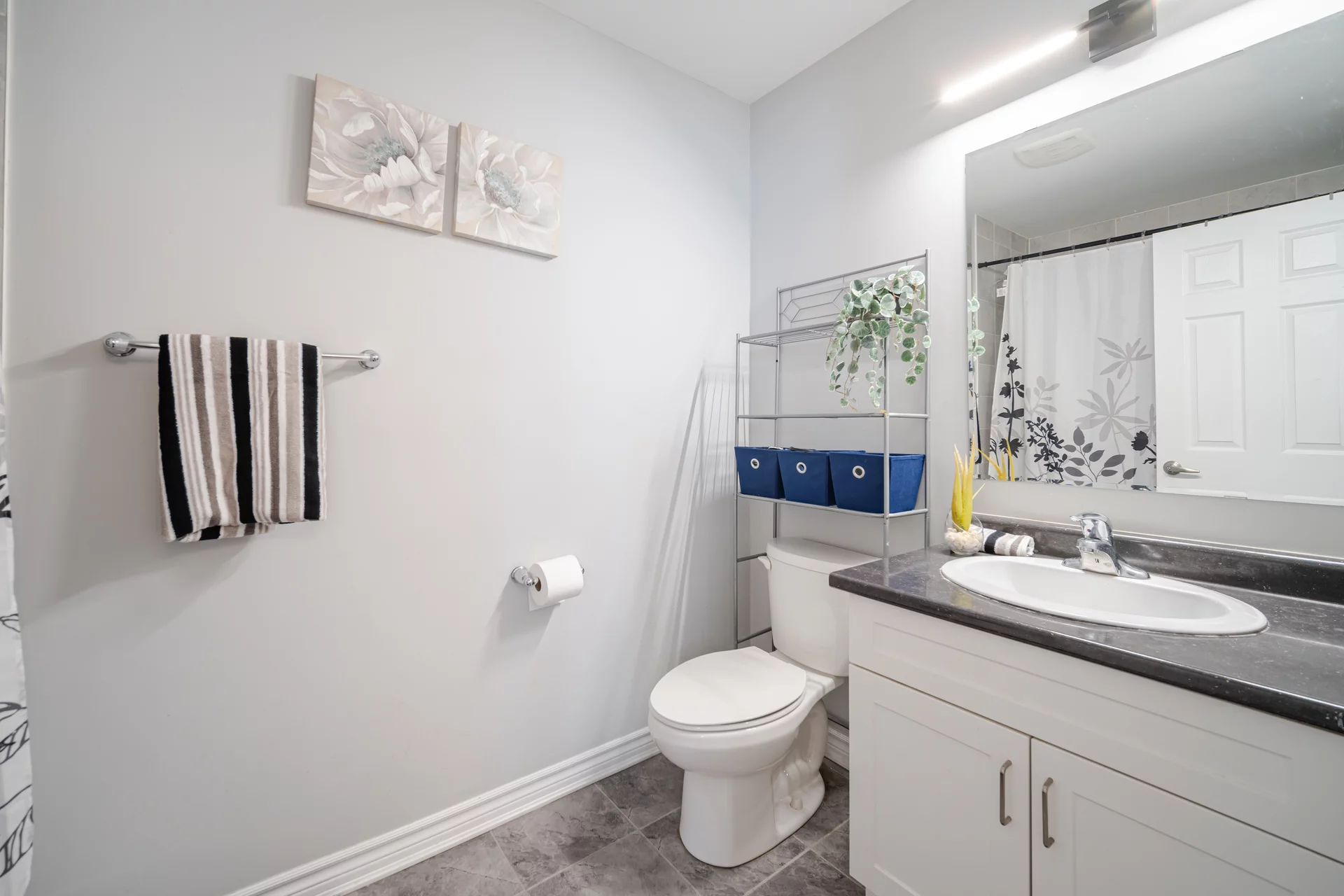564 Langholm Street, Milton - photo 36