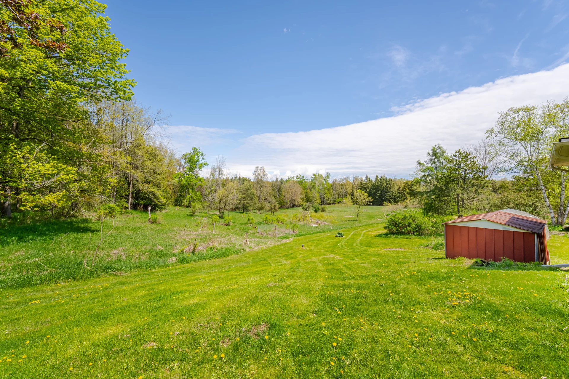 18697 Centreville Creek Road, Caledon - photo 52