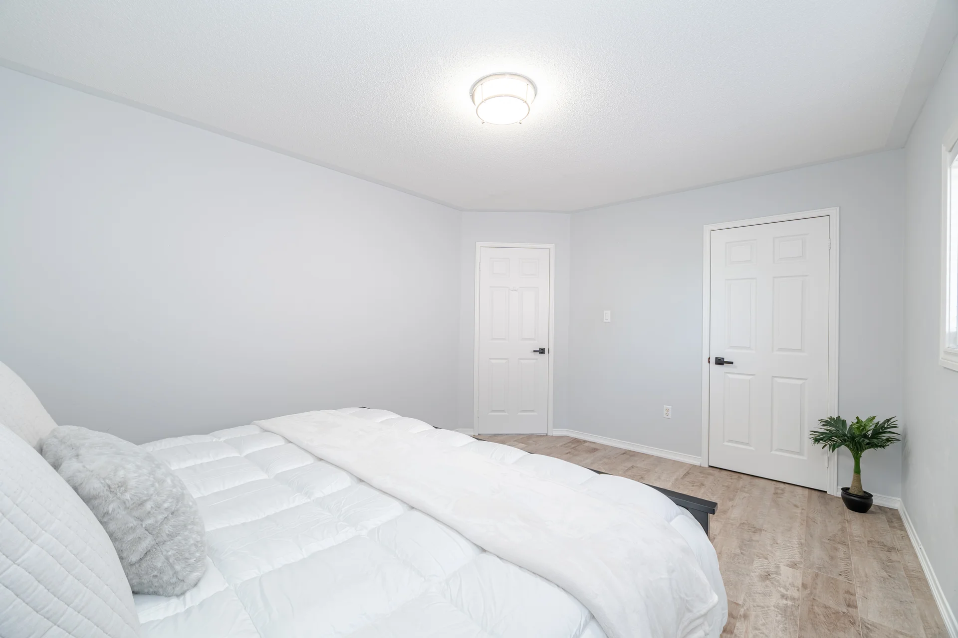 24 Oak Street, Georgetown - photo 71