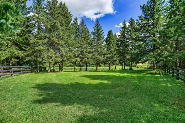 6310 18th Side Road Schomberg - photo 132