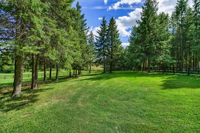 6310 18th Side Road Schomberg - photo 133