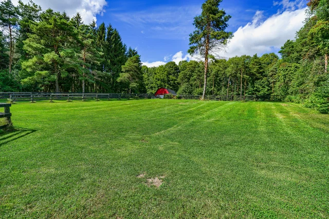 6310 18th Side Road Schomberg - photo 139