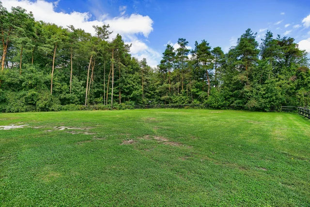 6310 18th Side Road Schomberg - photo 141