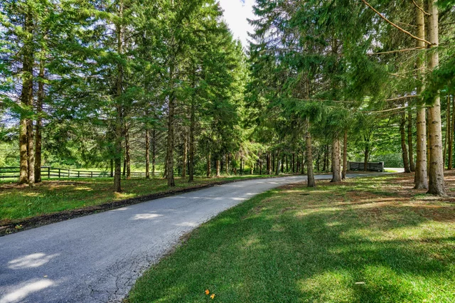 6310 18th Side Road Schomberg - photo 147