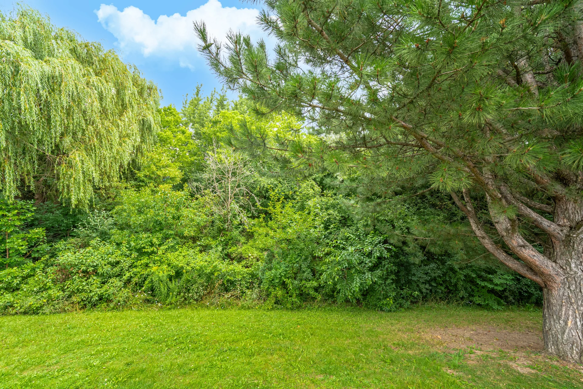 38 Leander Street, Brampton - photo 53
