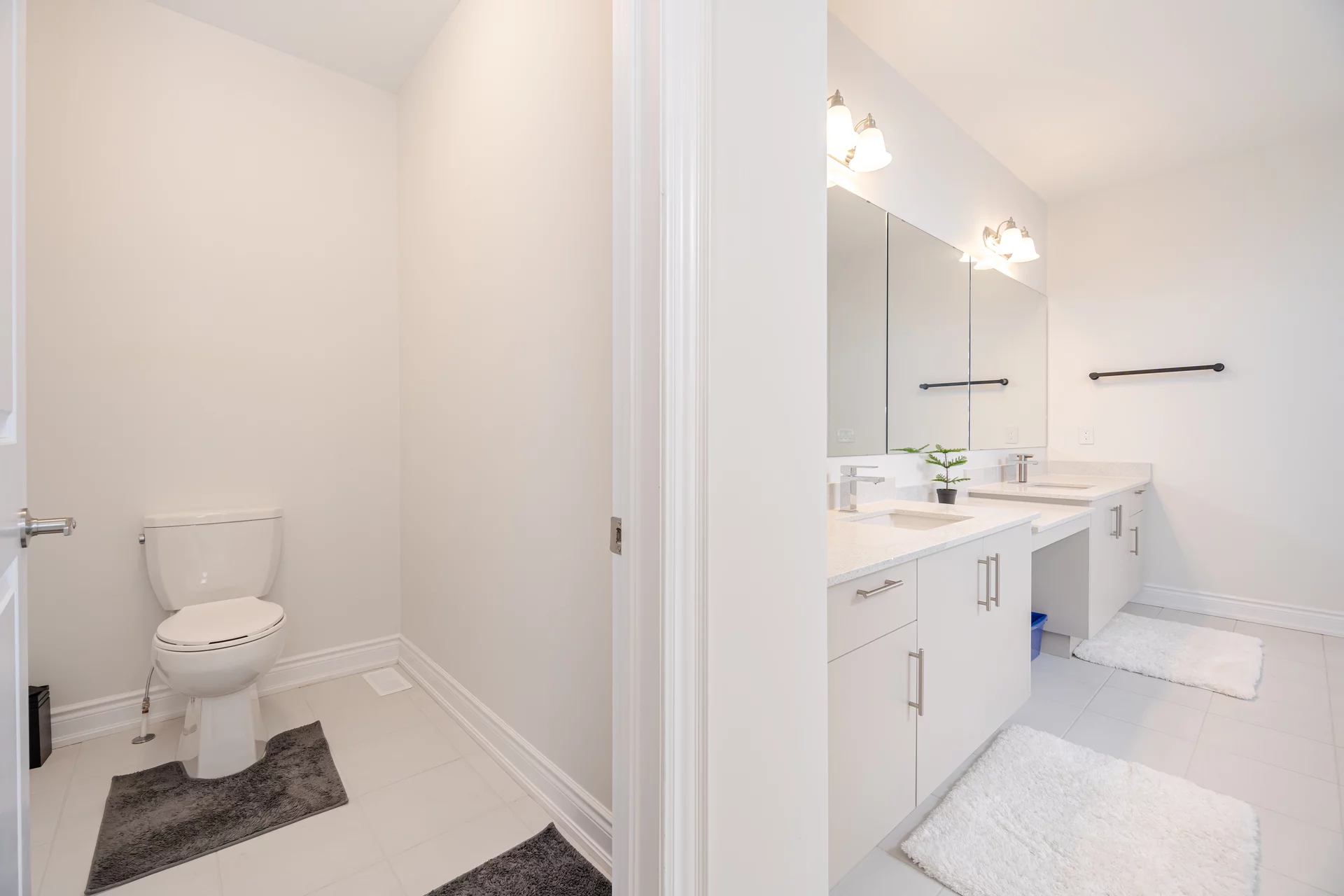 76 James Walker Avenue, Caledon - photo 57
