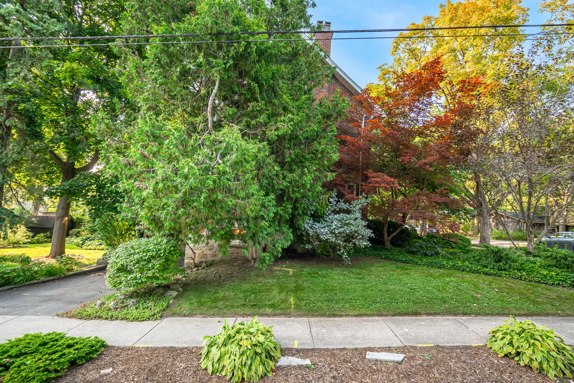 11 Crawford Street, Guelph - photo 73
