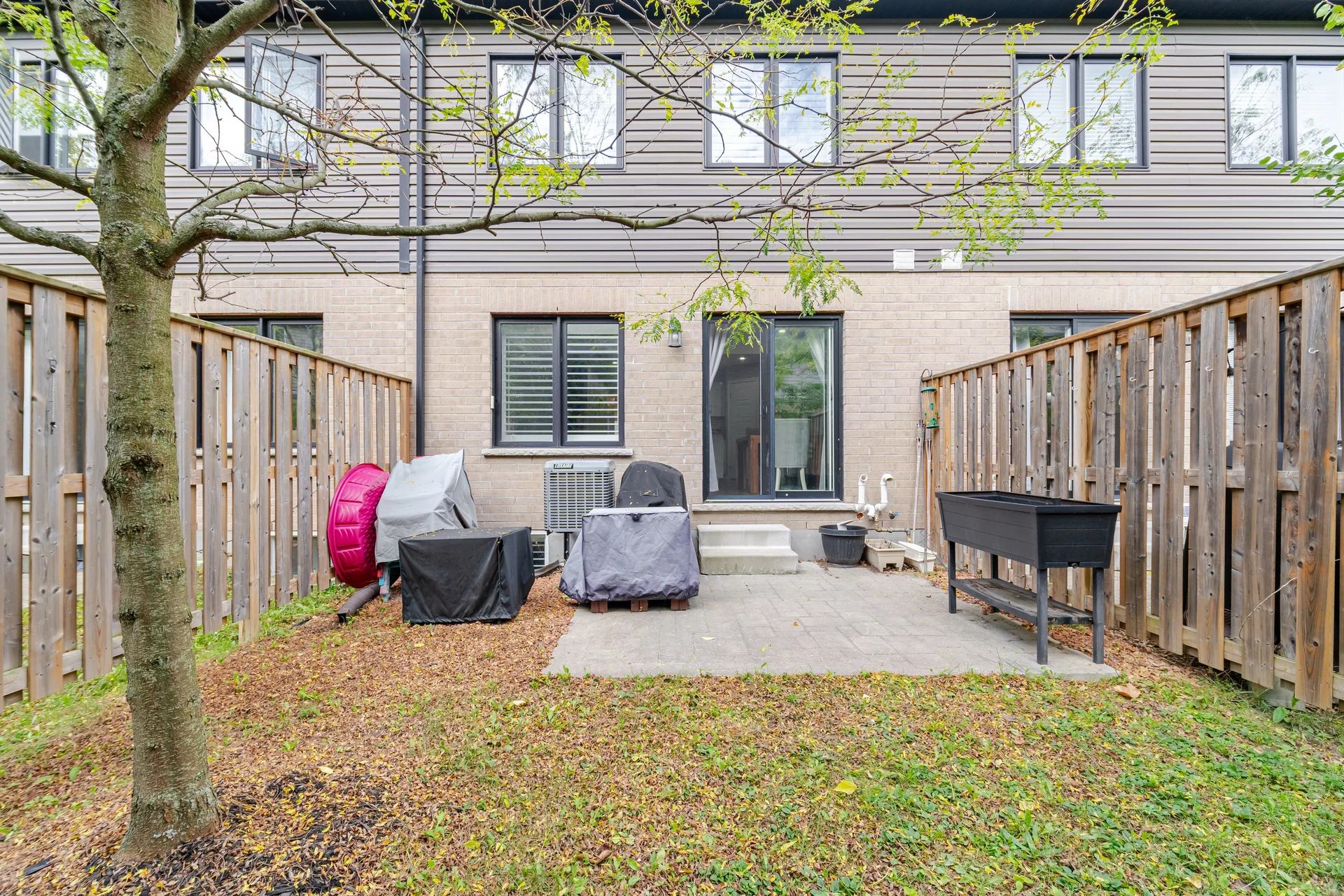 3131596