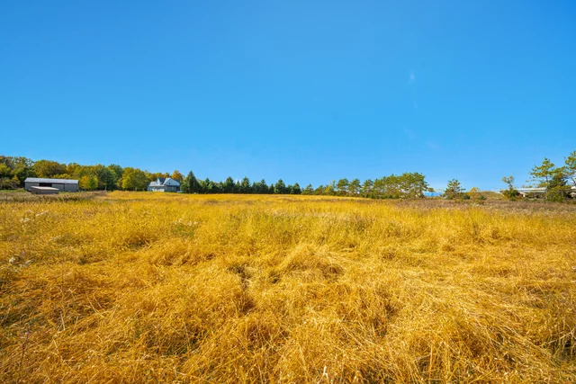 11786 Parson Road, St. Thomas - photo 106