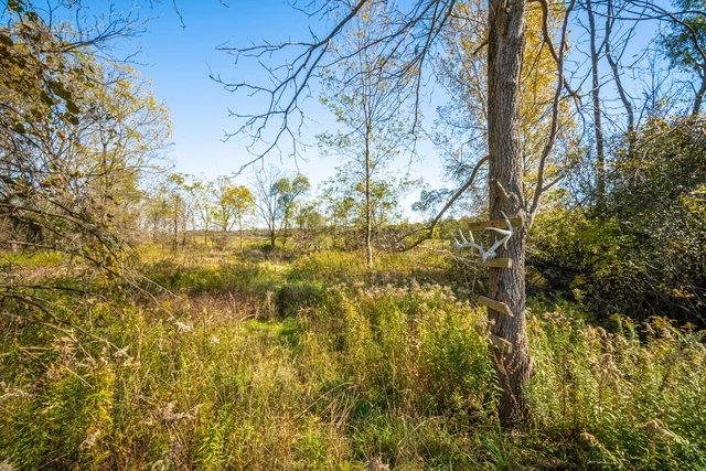11786 Parson Road, St. Thomas - photo 107