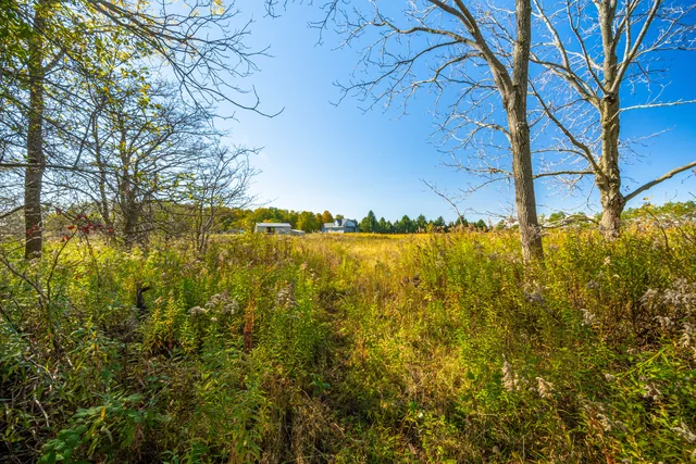 11786 Parson Road, St. Thomas - photo 108