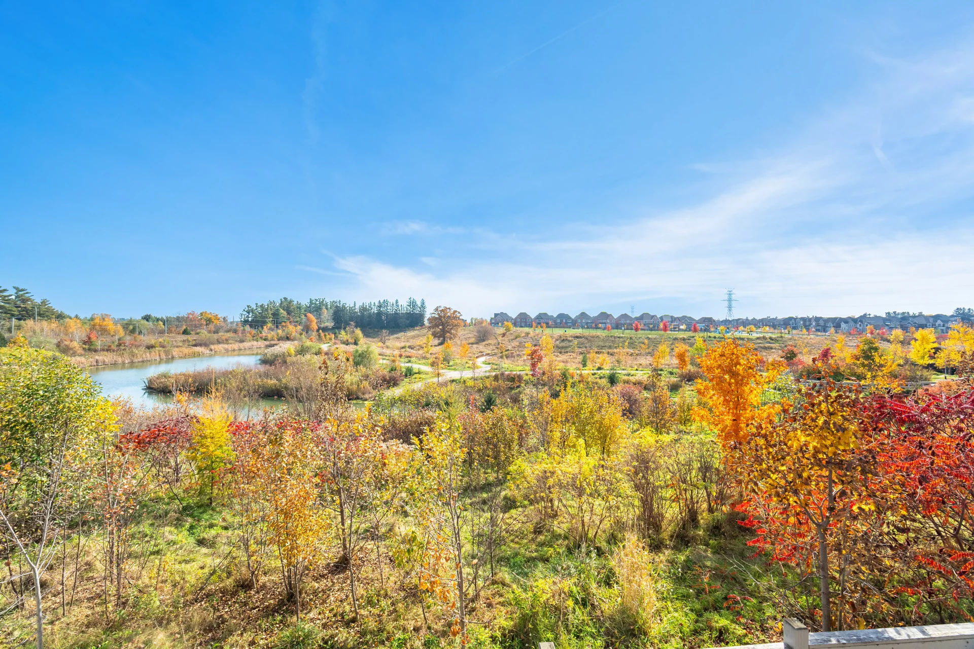 208 Faust Ridge, Vaughan - photo 91