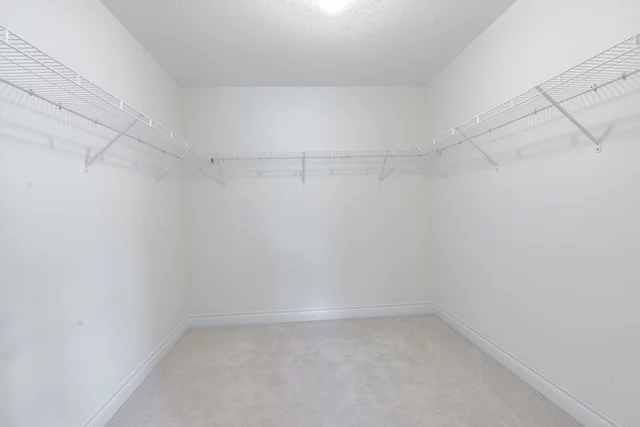 32 Ash Hill Avenue Caledon - photo 38