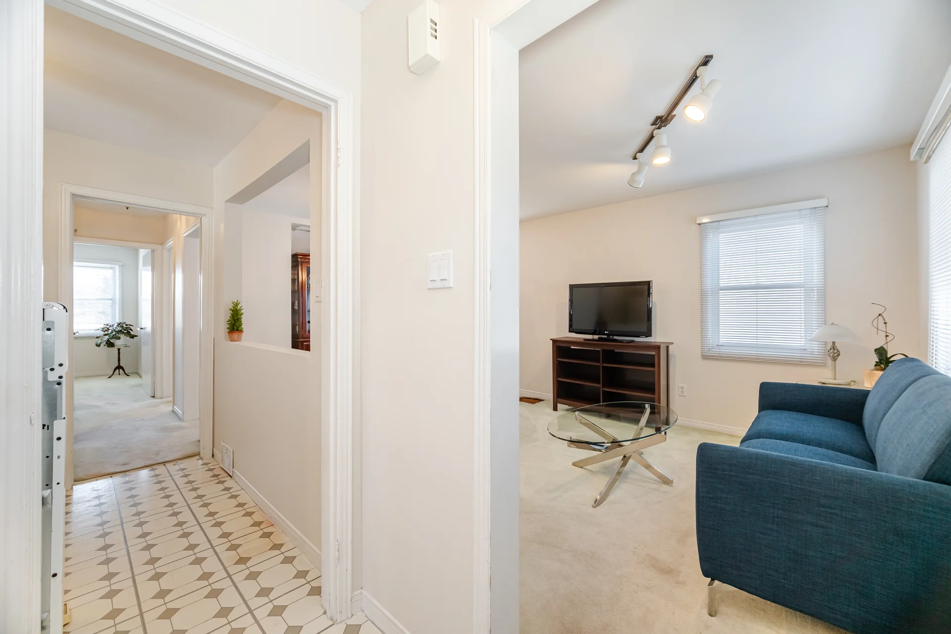 21 Acorn Avenue, Etobicoke - photo 8