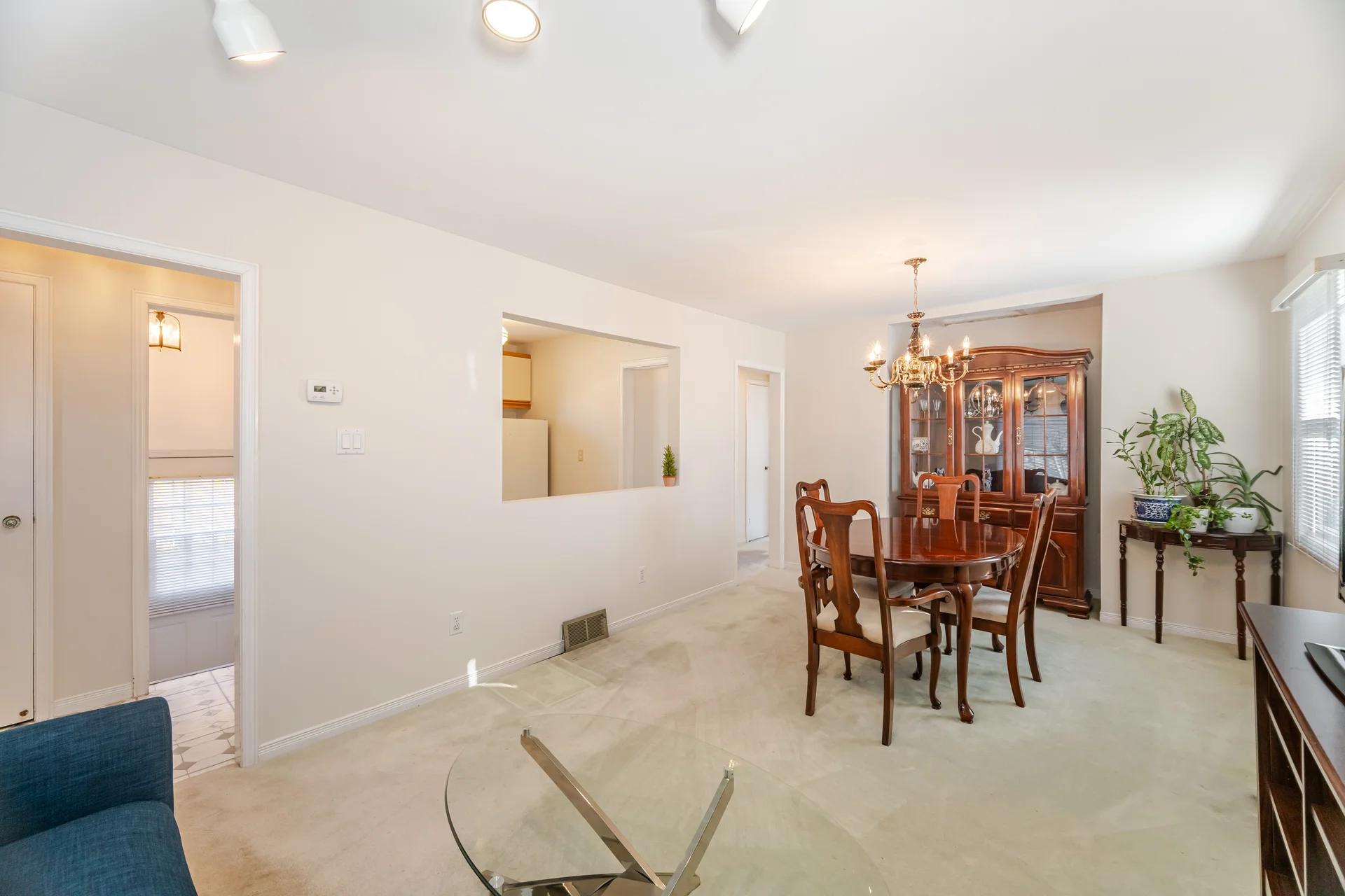 21 Acorn Avenue, Etobicoke - photo 9