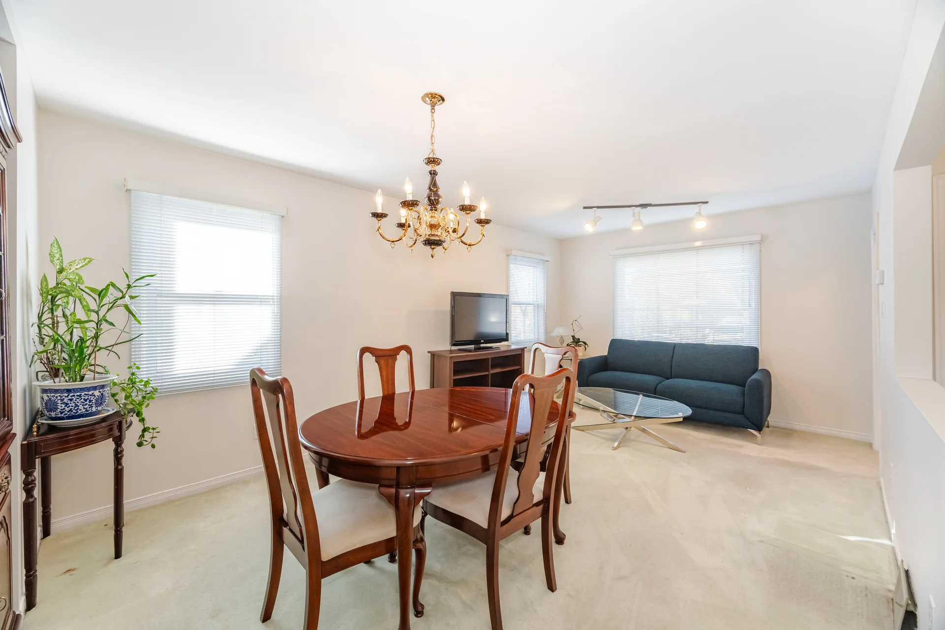 21 Acorn Avenue, Etobicoke - photo 10