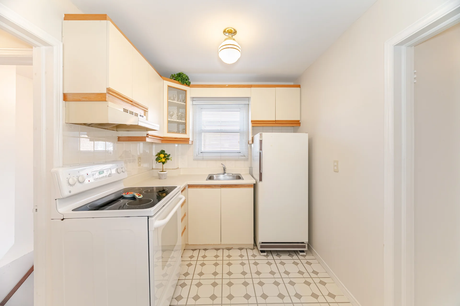 21 Acorn Avenue, Etobicoke - photo 12