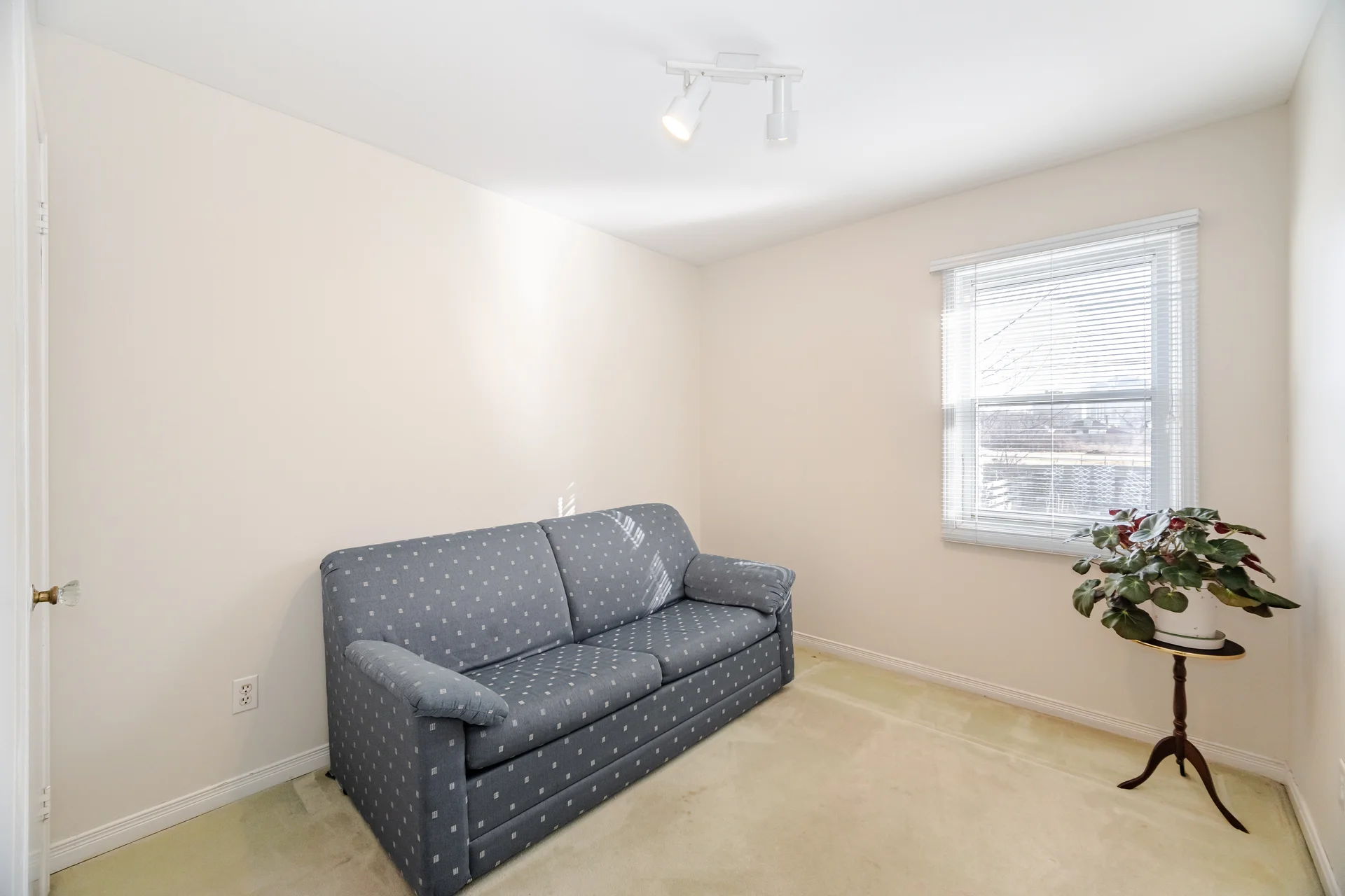 21 Acorn Avenue, Etobicoke - photo 17