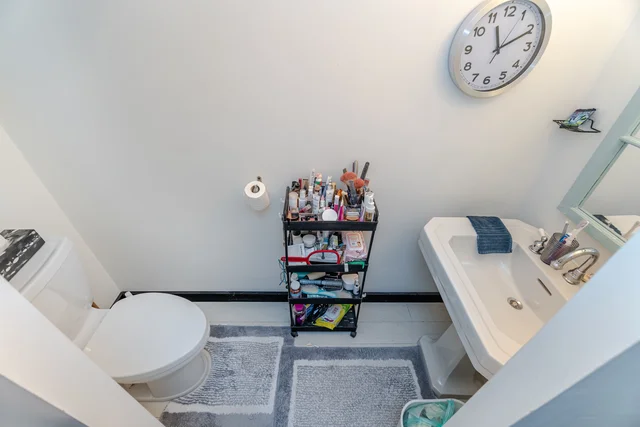 7 Jerman Street, Markham - photo 48