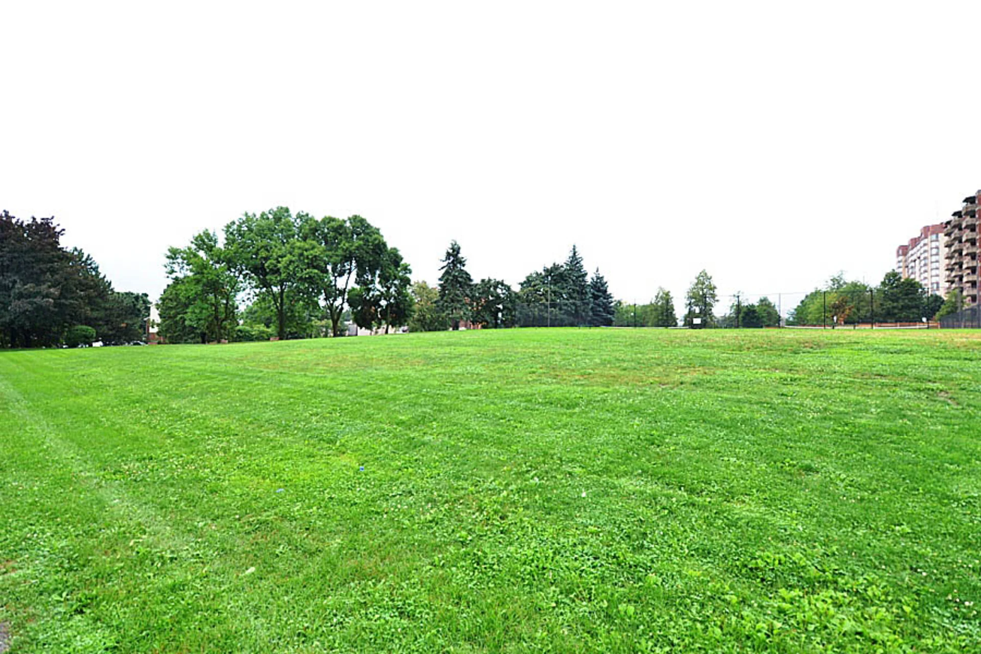 #1512-50 Mississauga Valley Boulevard, Mississauga - photo 49