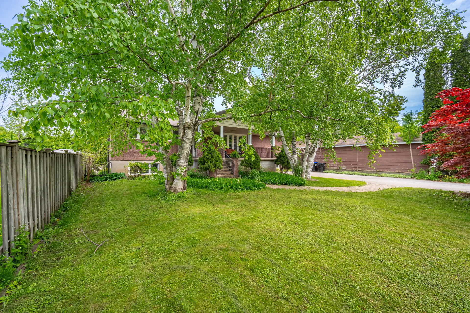 141 Elm Street, Collingwood - photo 3