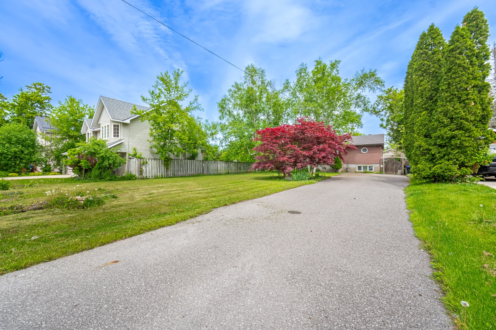 141 Elm Street, Collingwood - photo 4