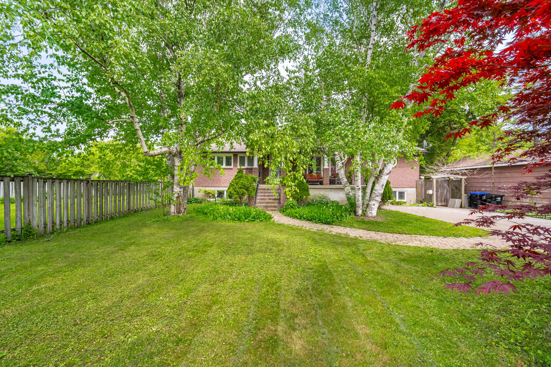 141 Elm Street, Collingwood - photo 5