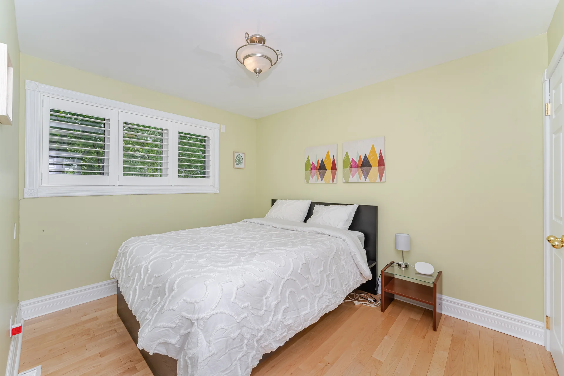 141 Elm Street, Collingwood - photo 24