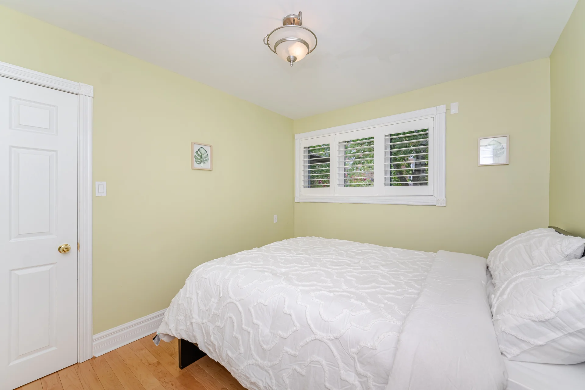 141 Elm Street, Collingwood - photo 26